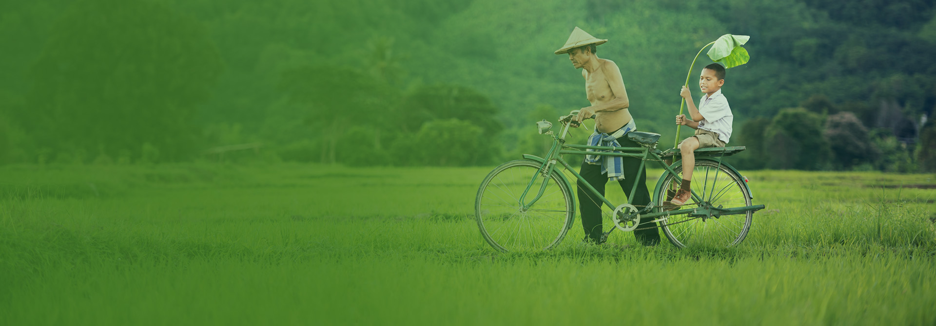 企業(yè)簡(jiǎn)介